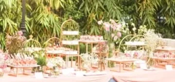 531913984_1146756230808394_1438082821387787174_n